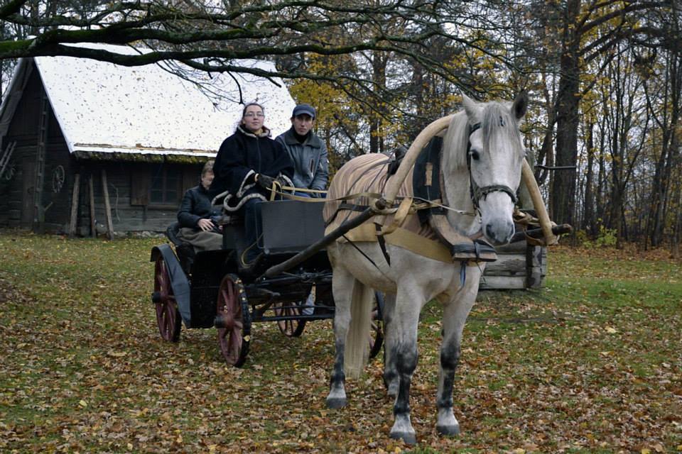 Где в Риге можно отдохнуть на природе — ZERKALO.LV