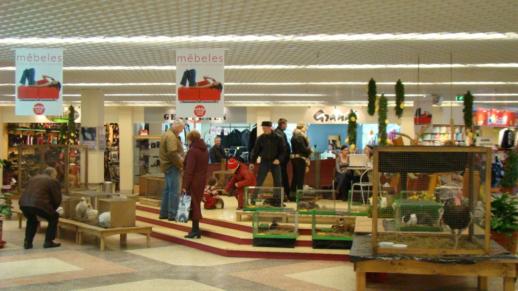 Publicitates foto Lieldienas