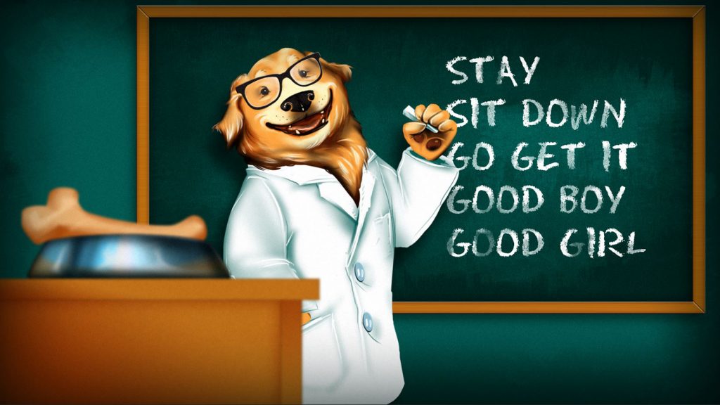 dogschool — копия